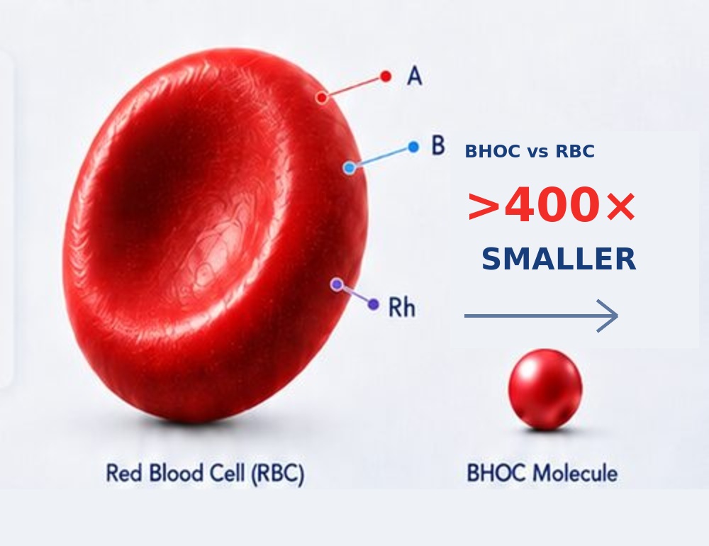 Red blood cell and smooth BHOC molecule comparison showing more than 400 times smaller linear scale